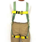 Night Hawk Harness
